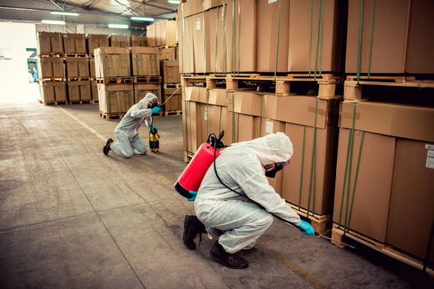 Best Cockroach Control Services  in Prosperity, WV