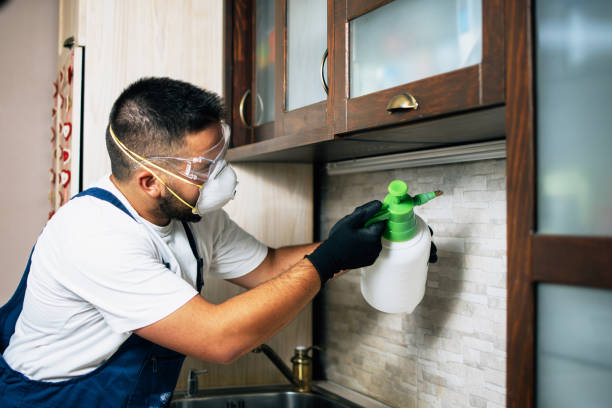Best Pest Removal Services  in Prosperity, WV