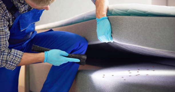 Best Best Pest Control Companies  in Prosperity, WV